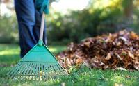Affordable Lawn Care Services image 8